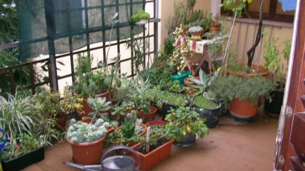 Terrasse - Apartment with Parking in Civitanova Marche