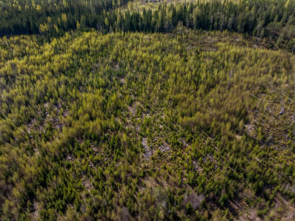 Vista aerea - Unbuilt Land with Forest in Sundsvall