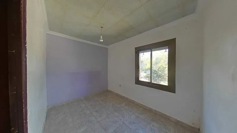 Toad - Functional Flat with Tour in Barcelona