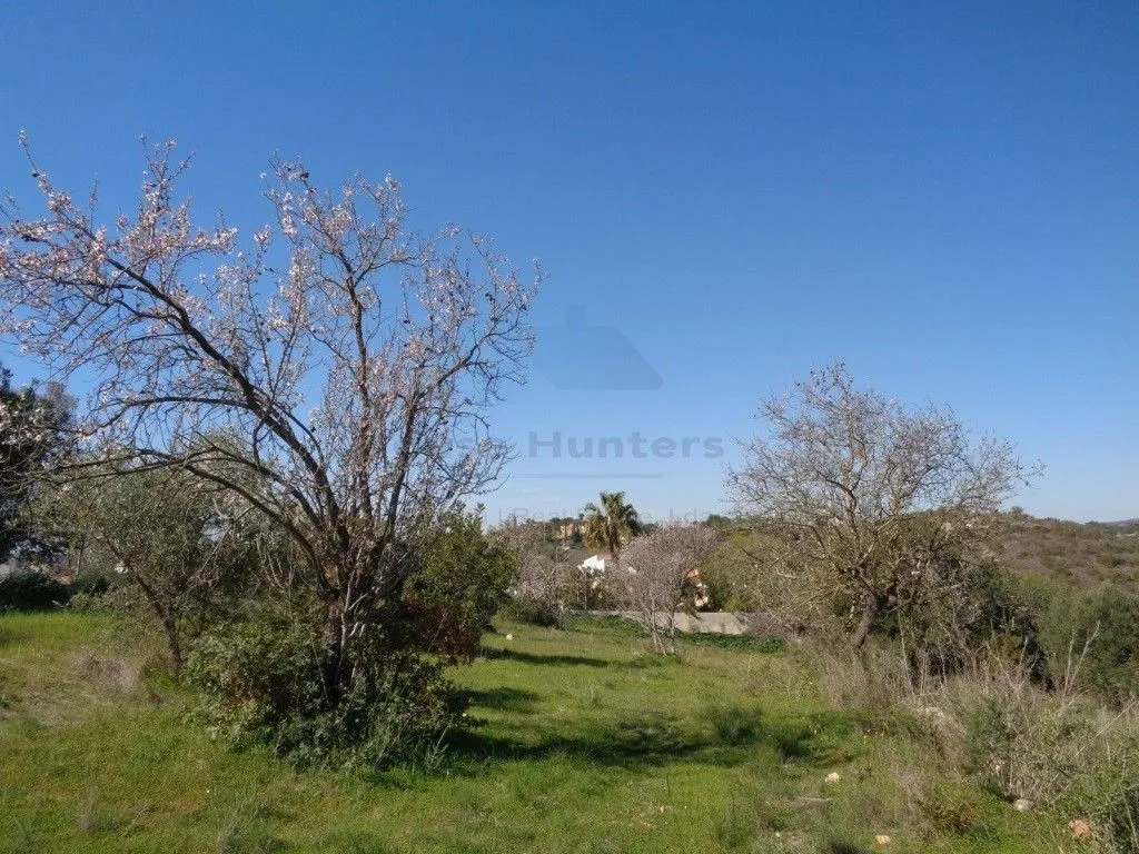 Jardin - Rustic House with Land in Vale Judeu, Loulé