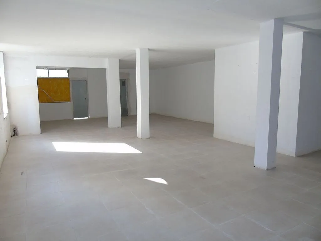 Toad - Chalet to Renovate with Garden in Ceutí