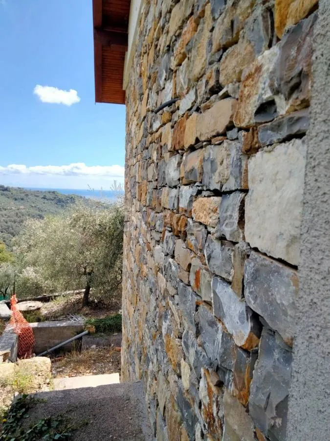 Terrass - Rustic Villa with Olive Grove in Diano San Pietro