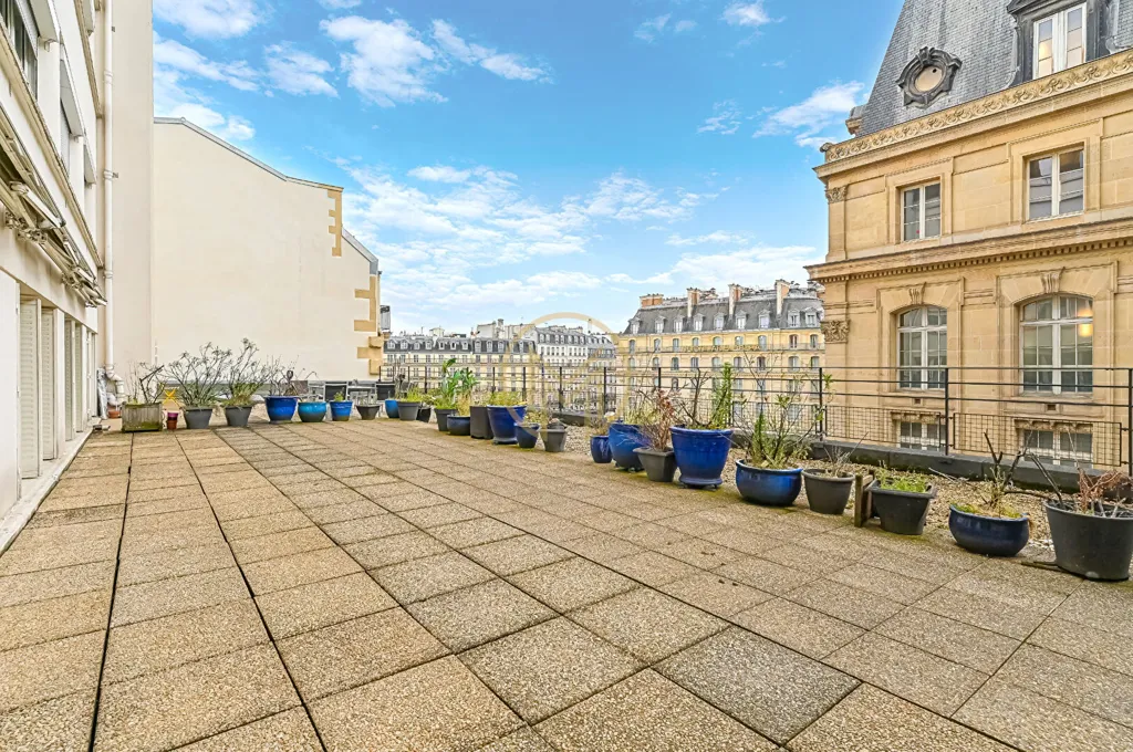 Terrass - Apartment with West-Facing Terrace in Paris 9th