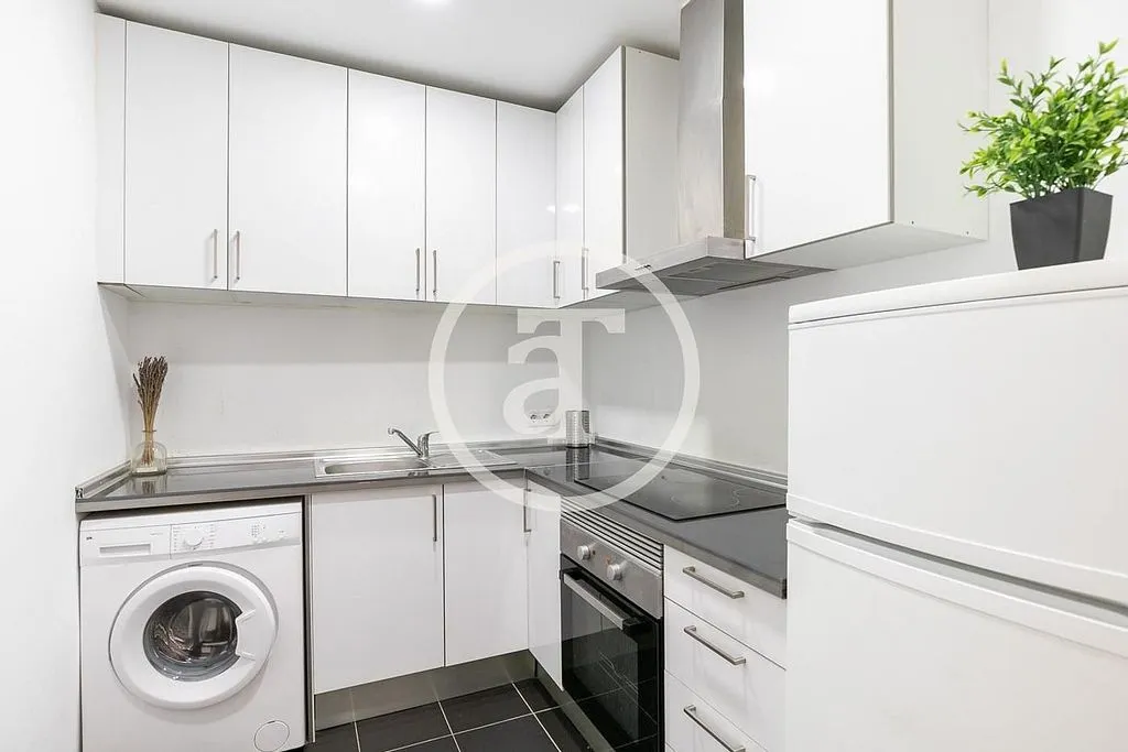 Cuisine - Furnished Flat with Catalan Vault in Barcelona