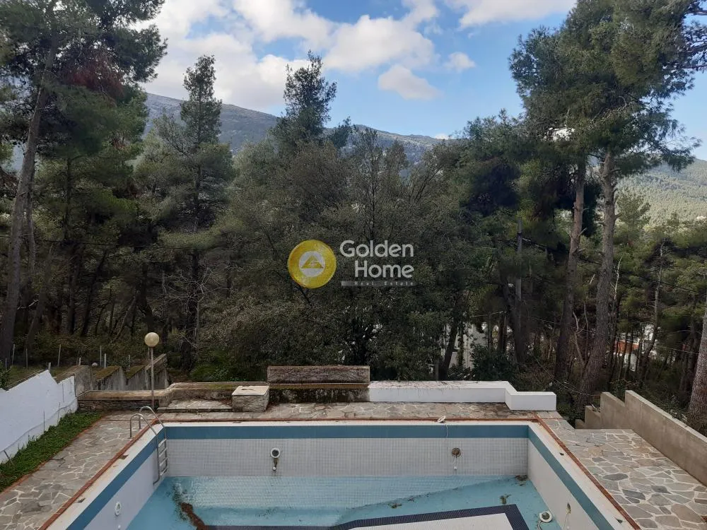 Bassein - Residential Plot with Panoramic View in Dionysos Centre