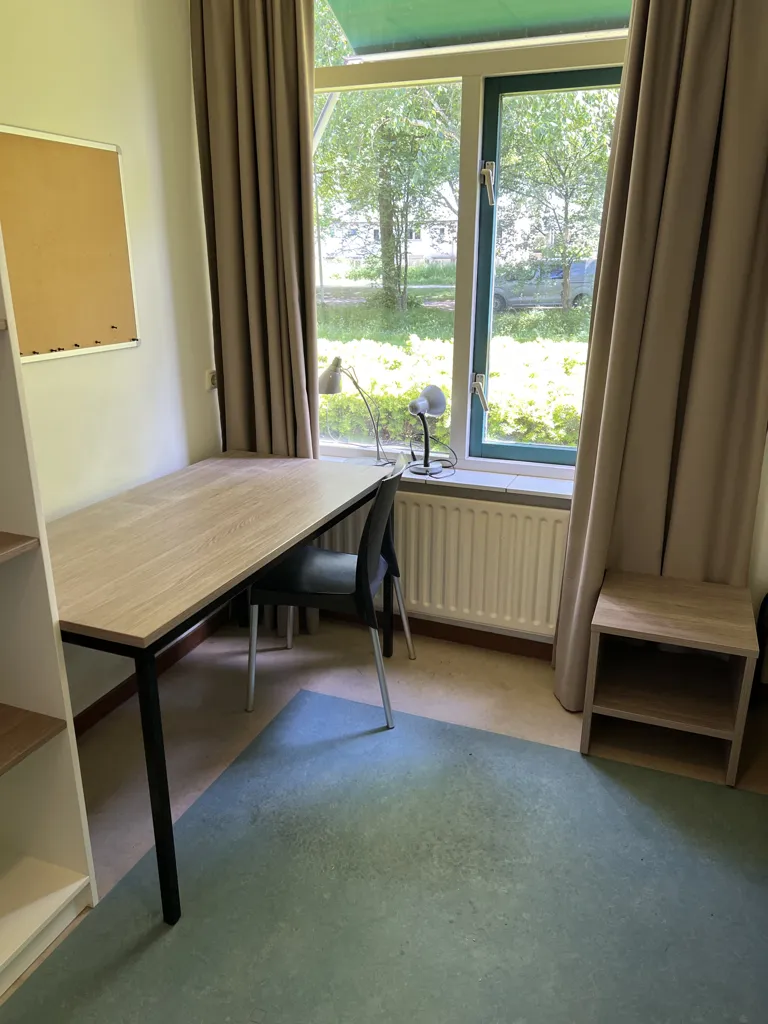 Kabinet - Student Room with Private Shower in Delft