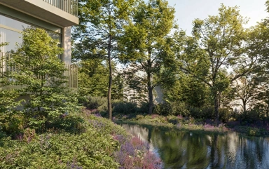 Jardin - Appartement 2 Chambres avec Cuisine Ouverte à Uccle
