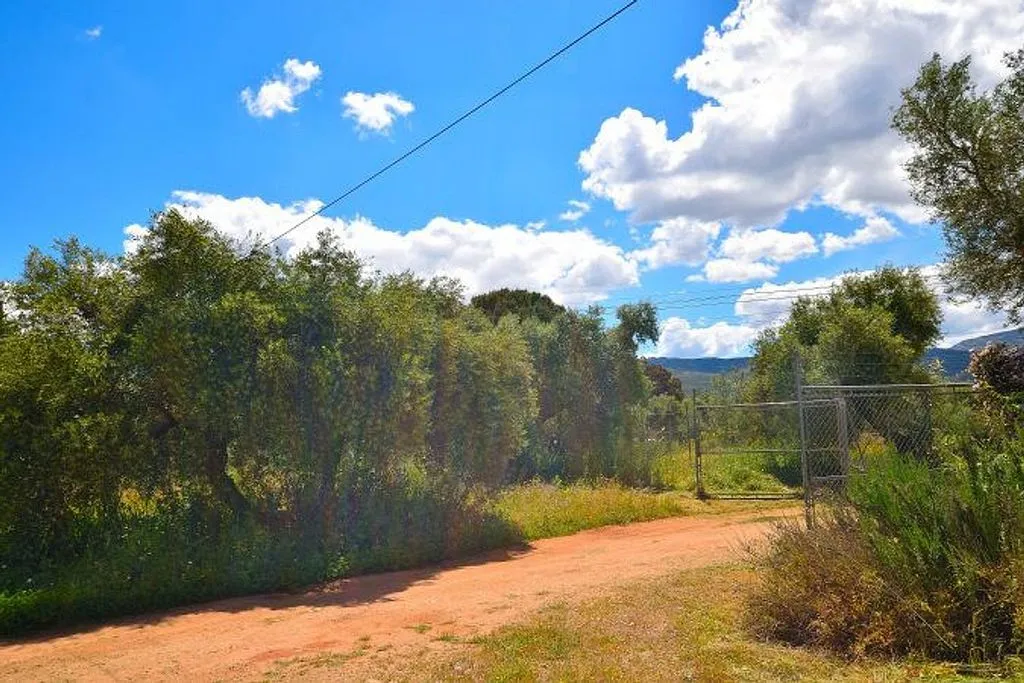 Garden - Rustic Finca with Garden near Ronda