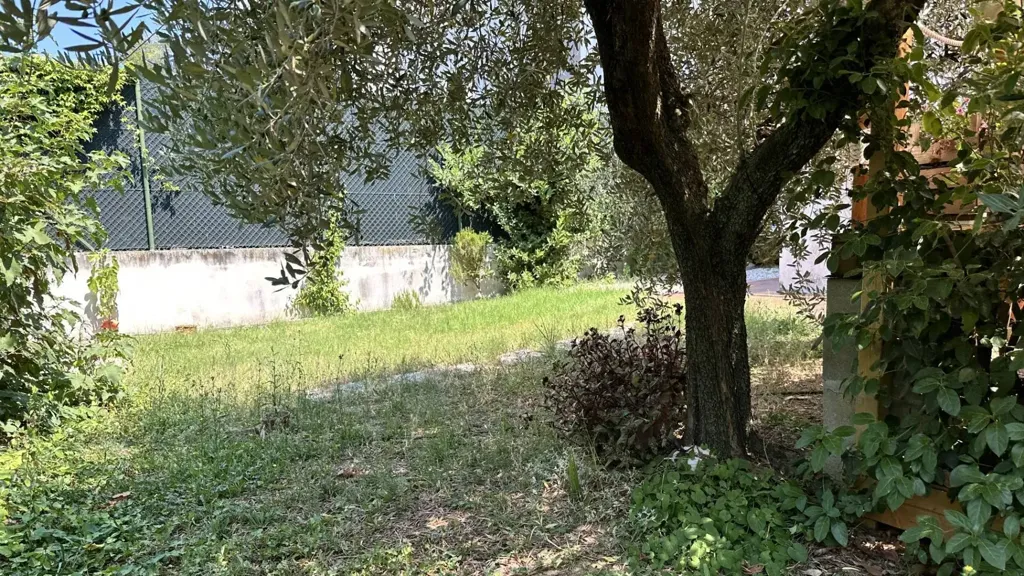 Giardino - Villa with Private Garden in Montegranaro, Pesaro