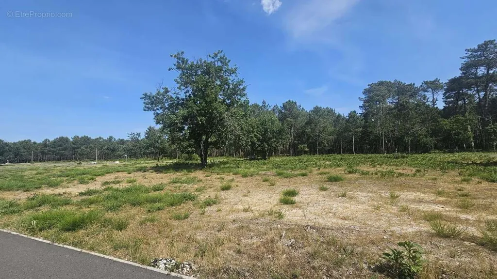 Jardin - Terrain à Bâtir avec Accès Plage à VENDAYS-MONTALIVET