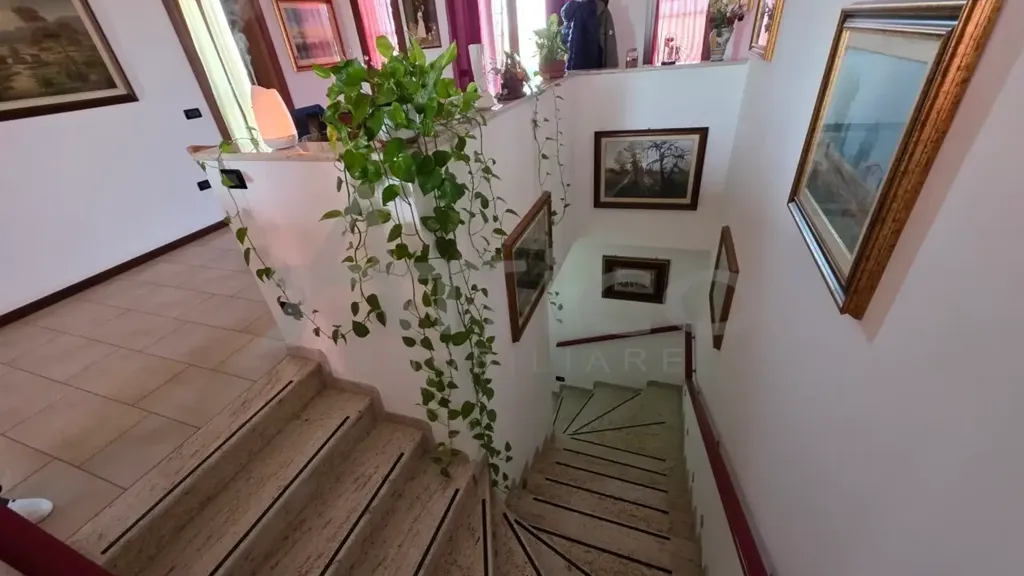 Toad - Independent House with Private Garden in Pincara
