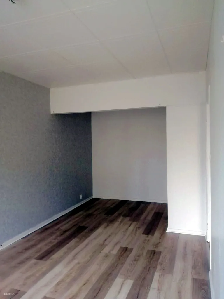 Toad - Bright Studio Flat with Kitchen in Äänekoski