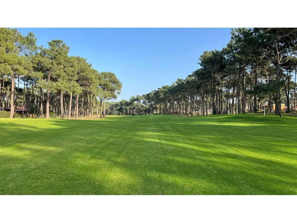 Aed - Contemporary Villa with Golf View in Sesimbra