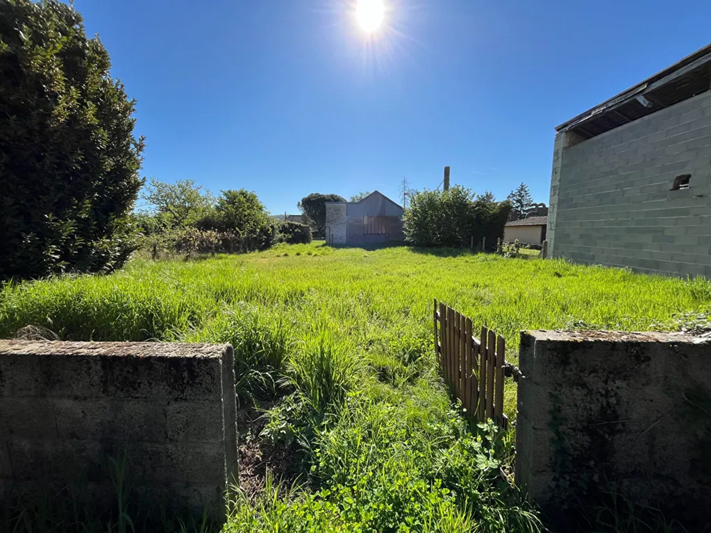 Jardin - Maison avec jardin et dépendances à Ingrandes