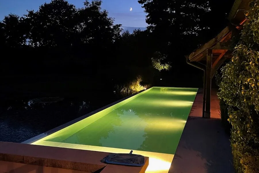 Piscine - Villa Monumentale avec Piscine sur 1.2 Hectare à Neeroeteren