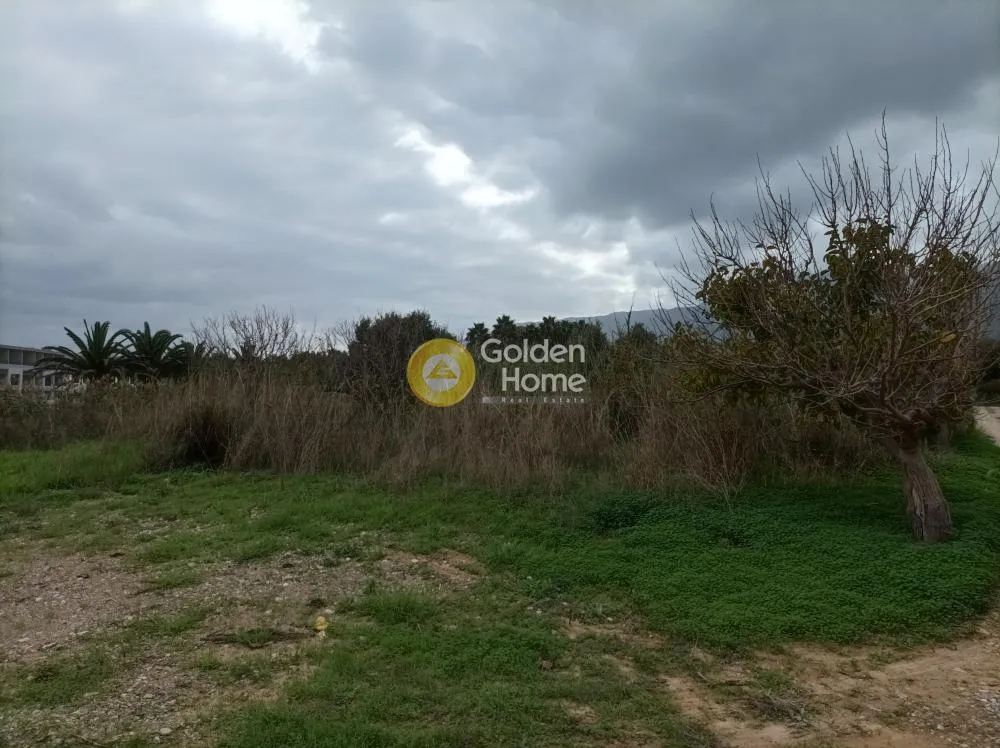 Aed - Buildable Plot with Sea View in Aprovouna, Chania