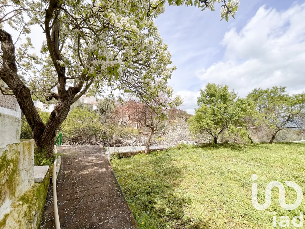 Garden - Rustic Finca with Pool in Casabermeja
