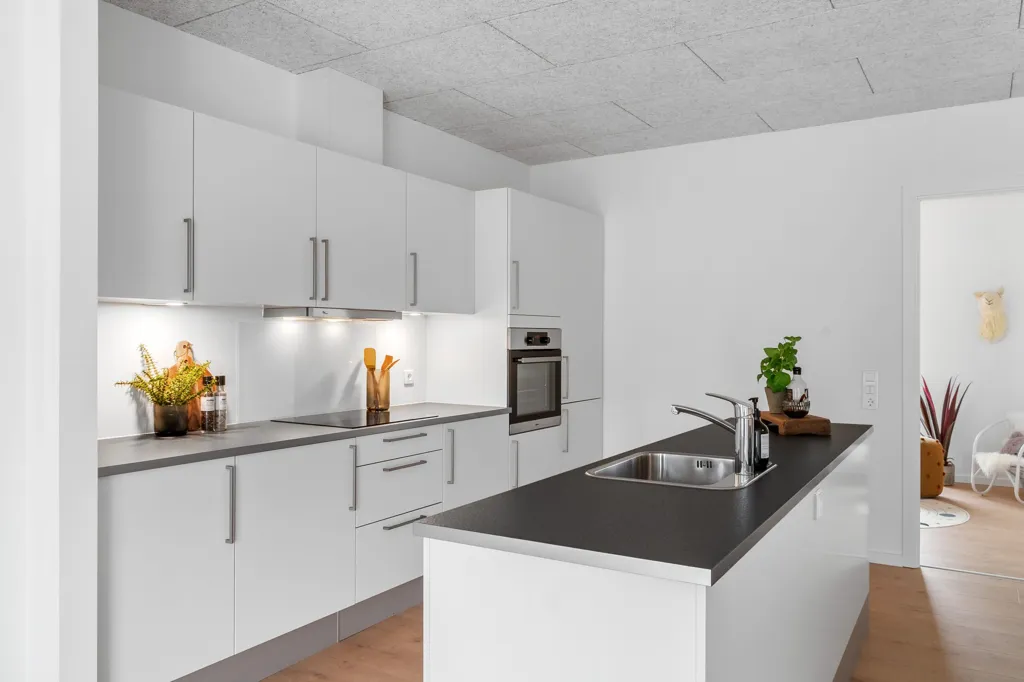 Cuisine - 2-5 Bedroom Flats with Balcony in Silkeborg