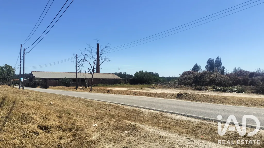 Rural Land with Expansion Potential in Tondela