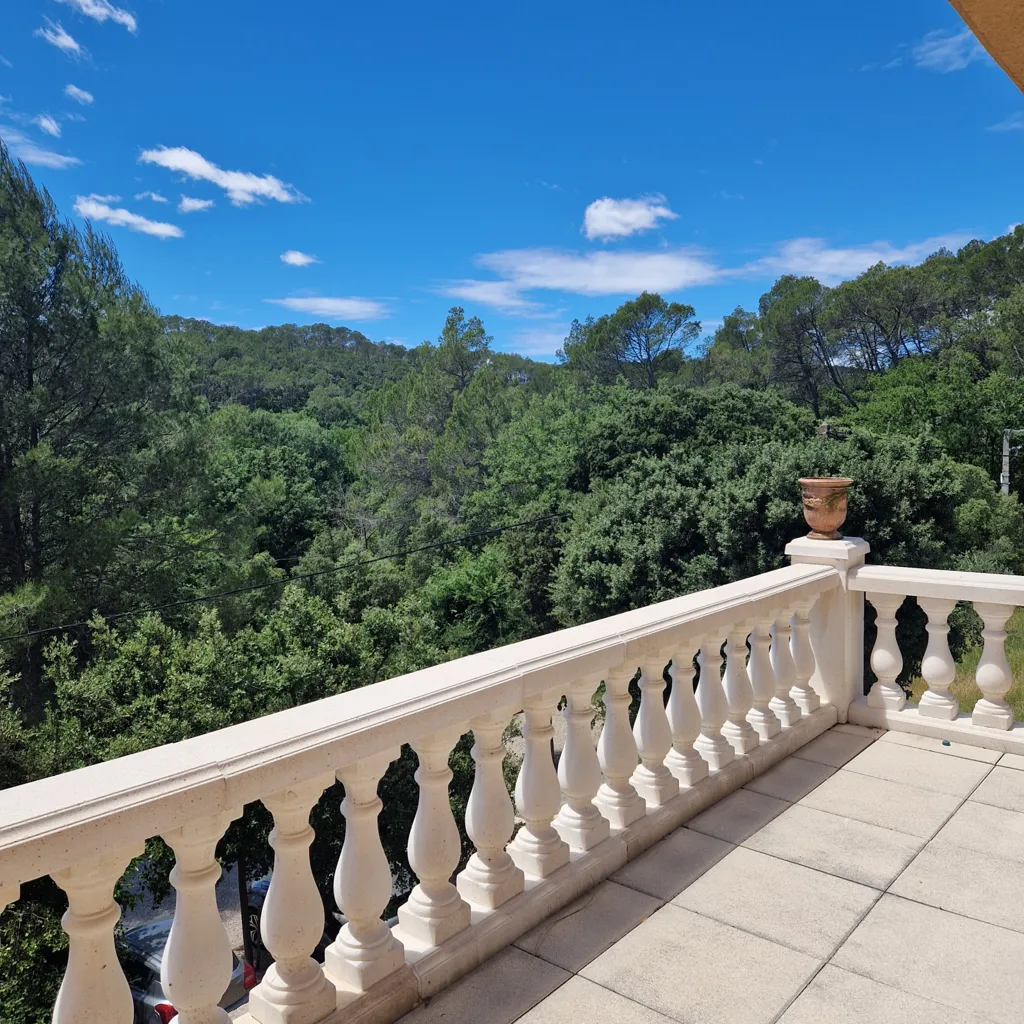 Rõdu - Provençal Villa with Pool near Lorgues