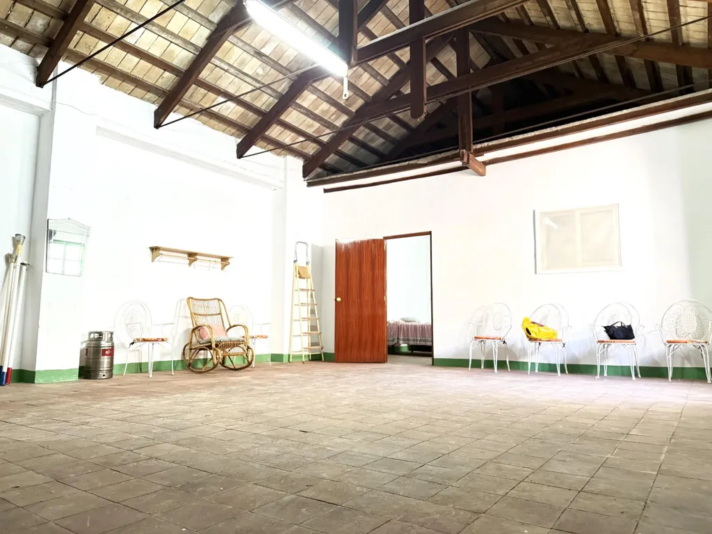 Toad - Historic House with Potential in Puente Genil