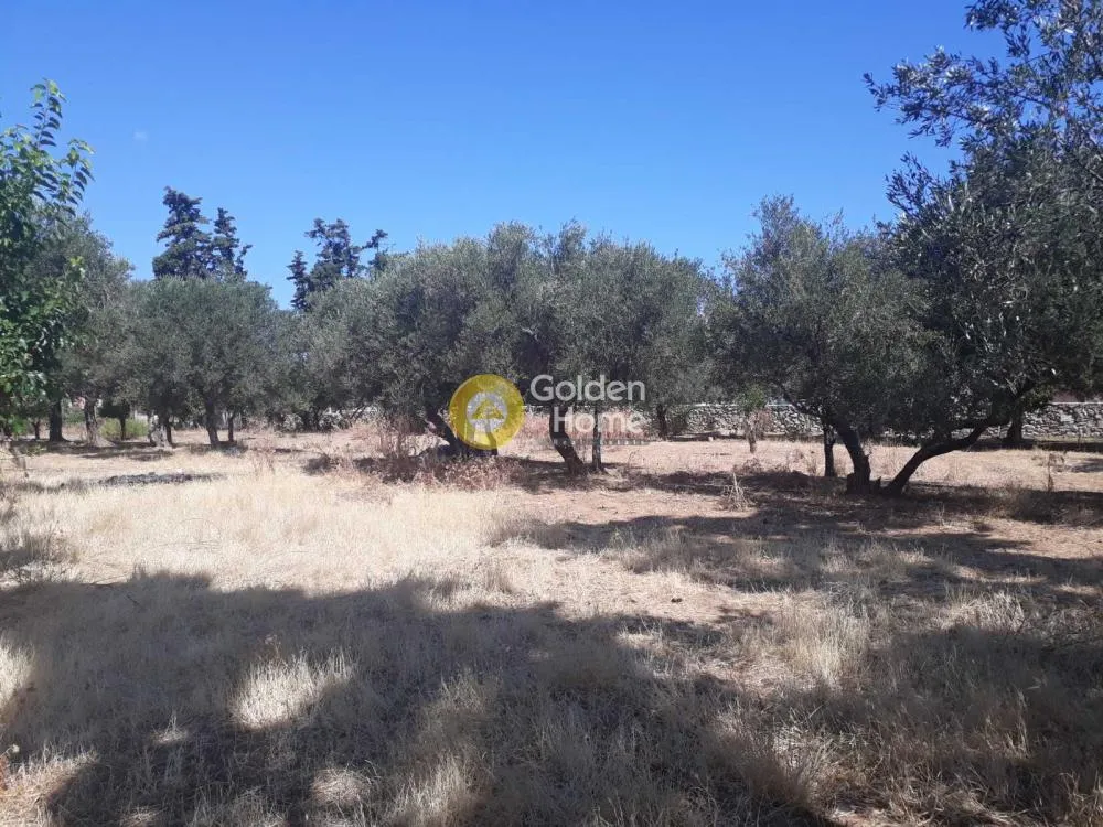 Giardino - Buildable Plot with Sea View in Agia Marina, Chania