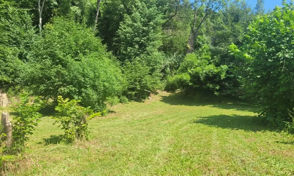 Jardin - Terrain Calme avec Partie Boisée à Saint-Paul de Vence