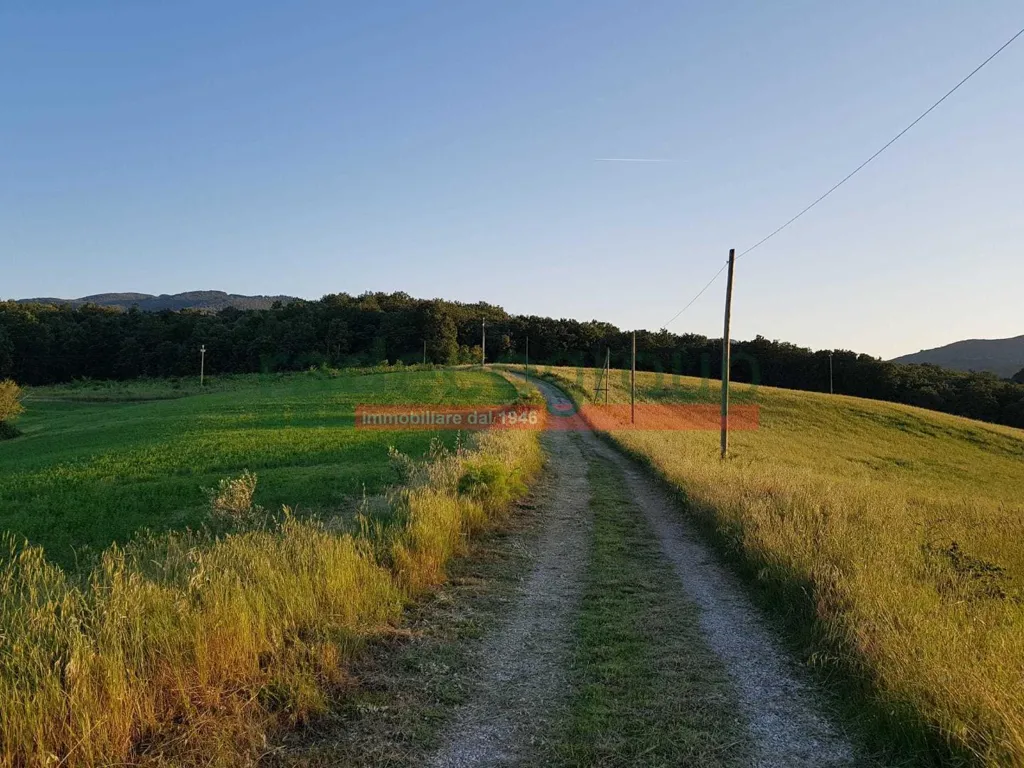 Aed - Tuscan Villa with Garden in Collesalvetti