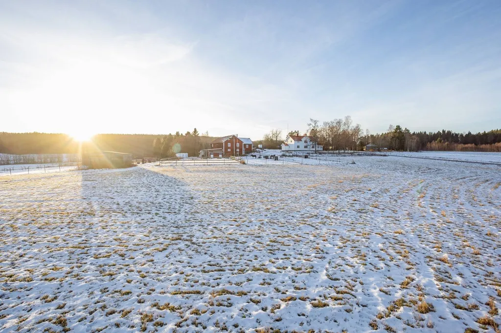 Garden - Well-Maintained Farmhouse with Stables in Västernorrland