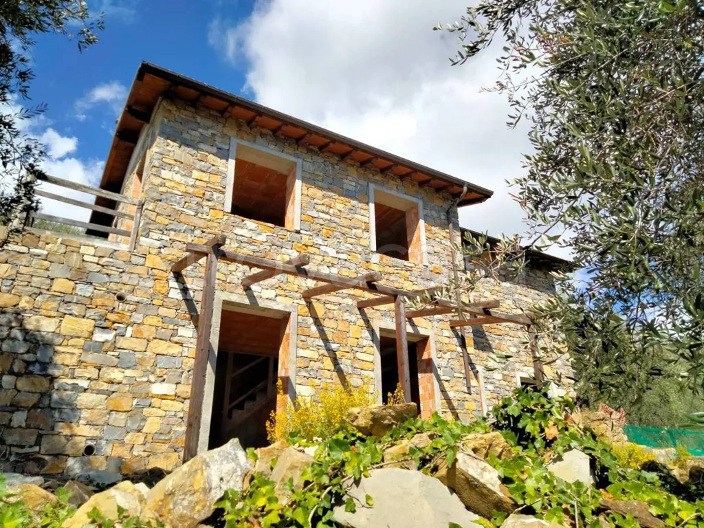 Välivaade - Rustic Villa with Olive Grove in Diano San Pietro