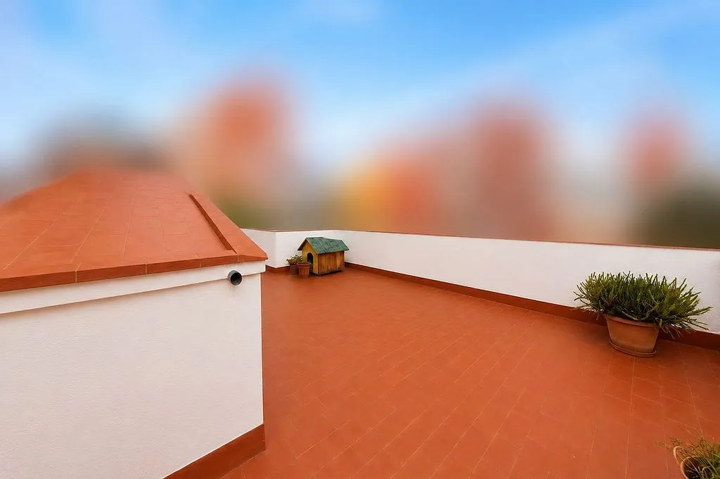 terrace_patio