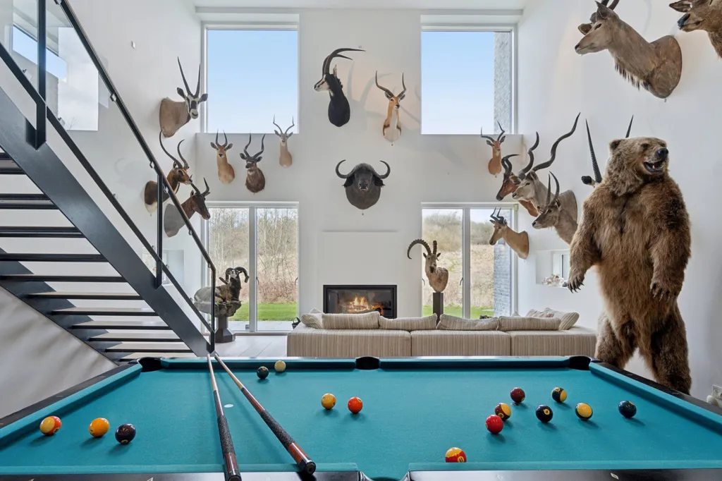 Séjour - Modern House with Stringent Architecture in Stouby