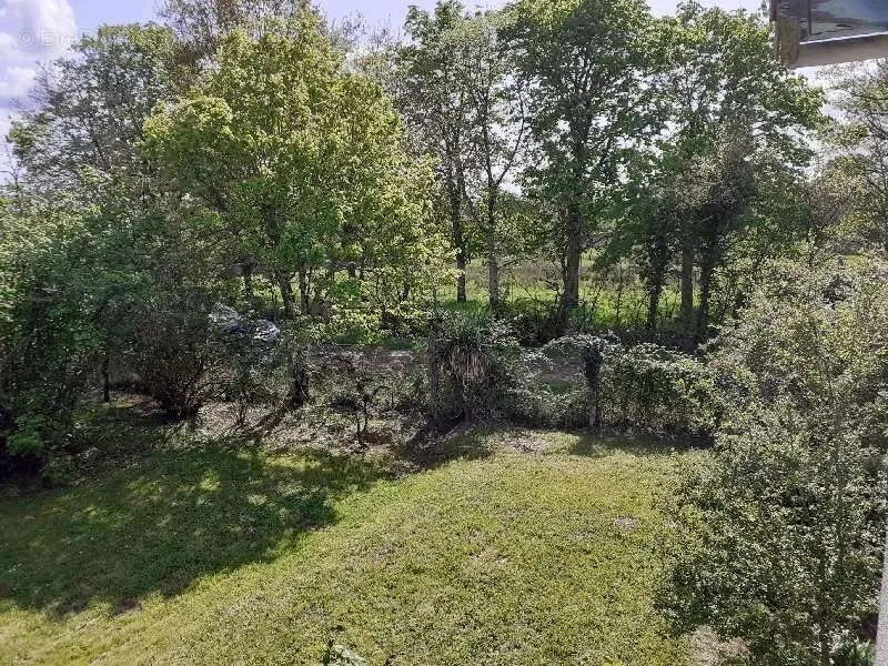 Giardino - Rustic Property with 5,000m² Land in Quiet Village