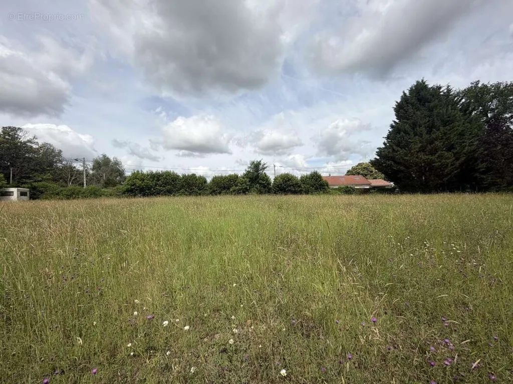 Jardin - Terrain Constructible à Linards, Proche de Châteauneuf-la-Forêt
