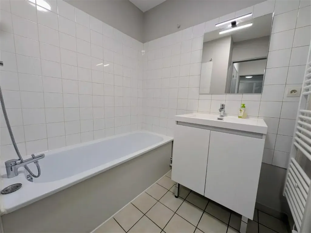 Vannitoad - Meubled 2-Bedroom Flat in Grenoble