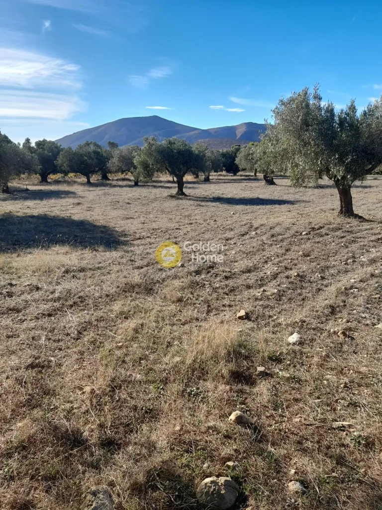 Terrain à GR