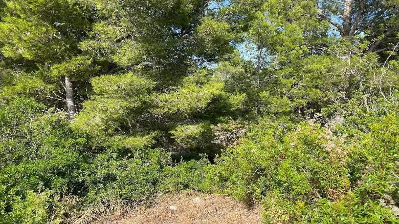 Jardin - Plot with Development Potential in Mont-Roig del Camp