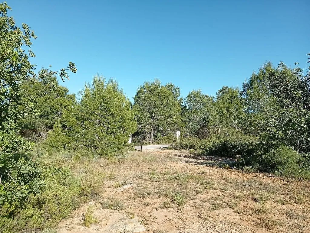 Jardin - Chalet with Pool and Terrace in Godelleta