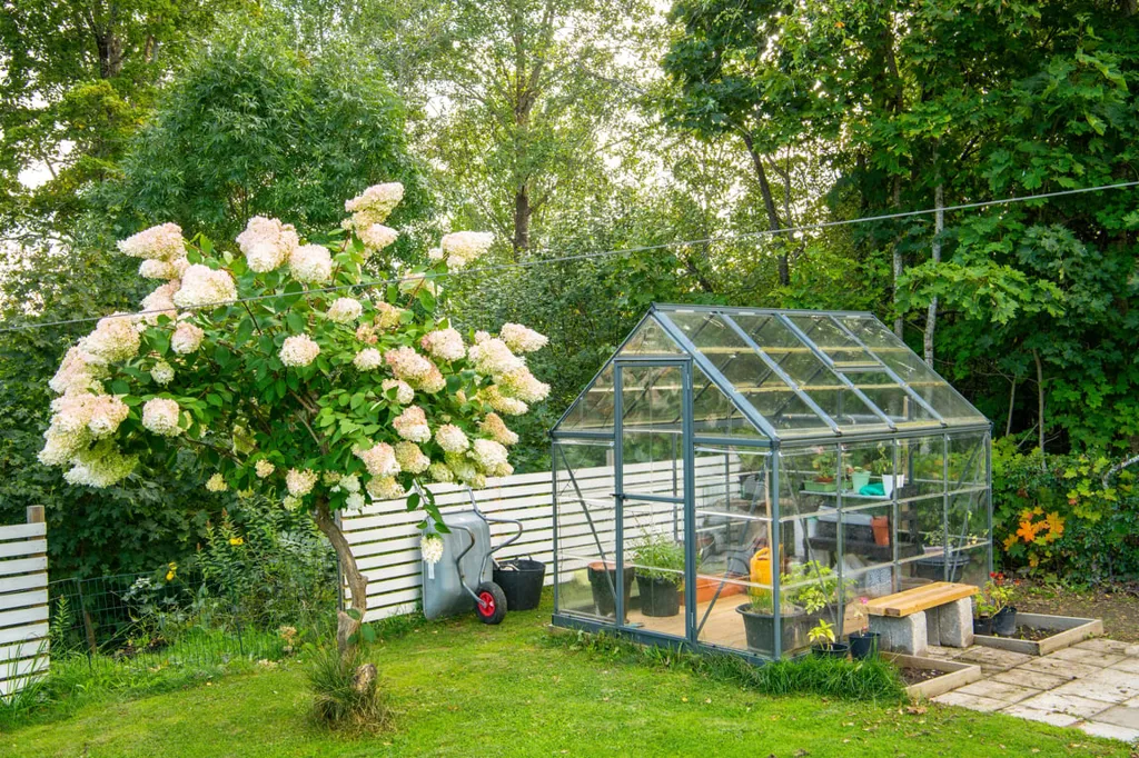 Jardin - Souterrain Villa with Garden on Quiet Street