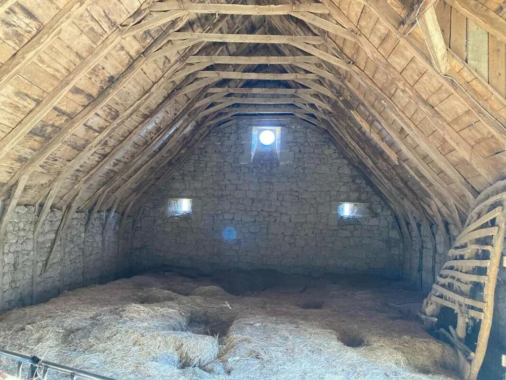 Toad - Stone House with Garden in Menet