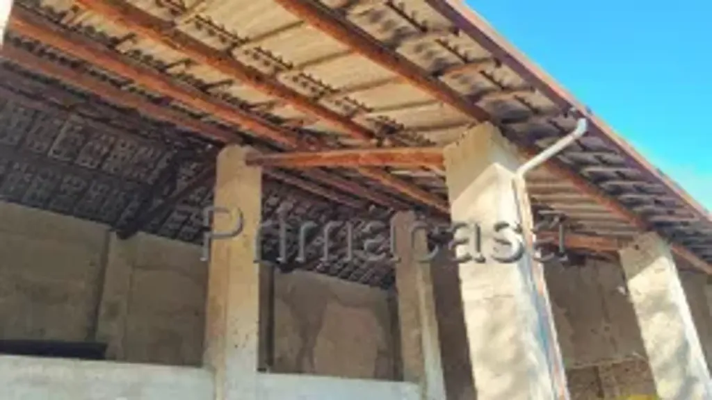 Toad - Rustic Farmhouse with Potential in Asola