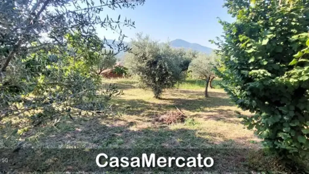 Aed - Loft with Garden in Grottaferrata