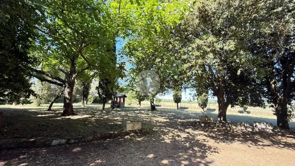 Jardin - Rustic Casale with Garden in Teverina, Viterbo