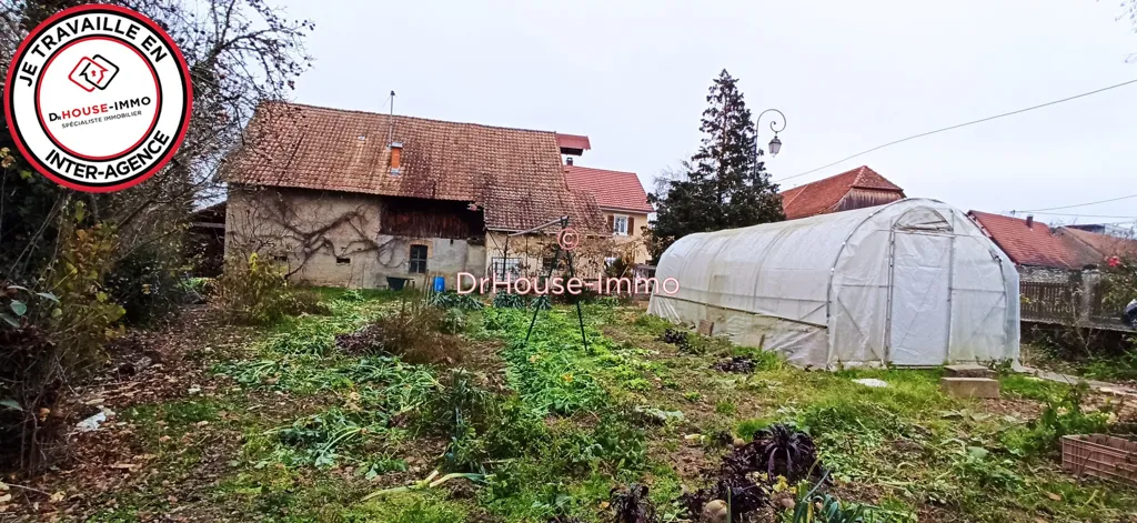 Jardin - Maison Traditionnelle avec Grange à Landser