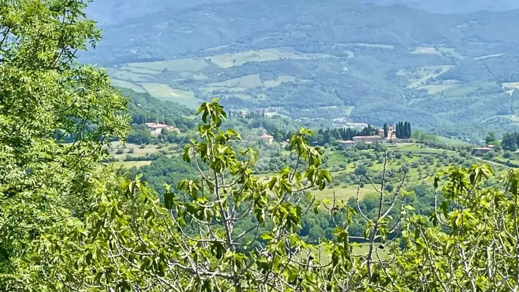 Rustic Villa with Panoramic Views in Barbiana