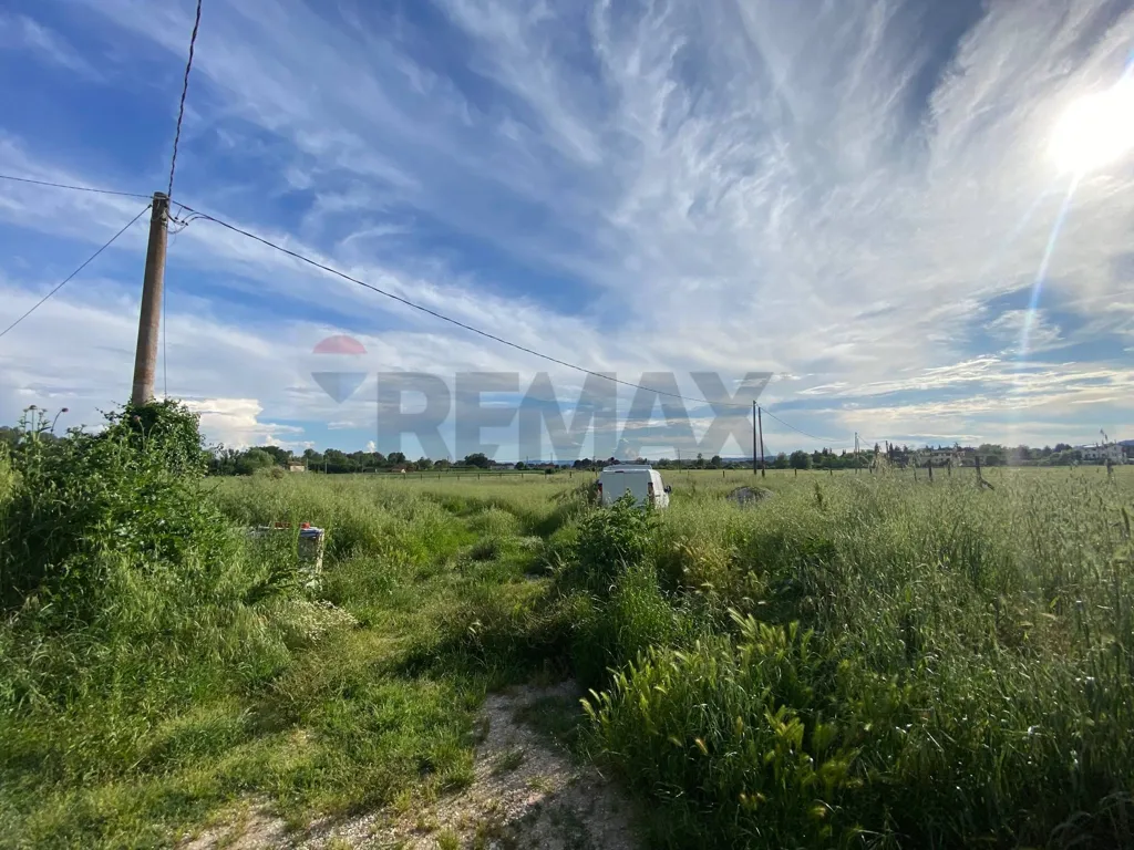 Jardin - Buildable Plot for Villa in San Martino in Campo