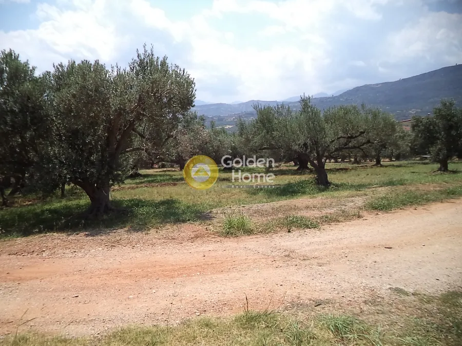 Aed - Plot with Mountain View in Akra, Sylibainiotika