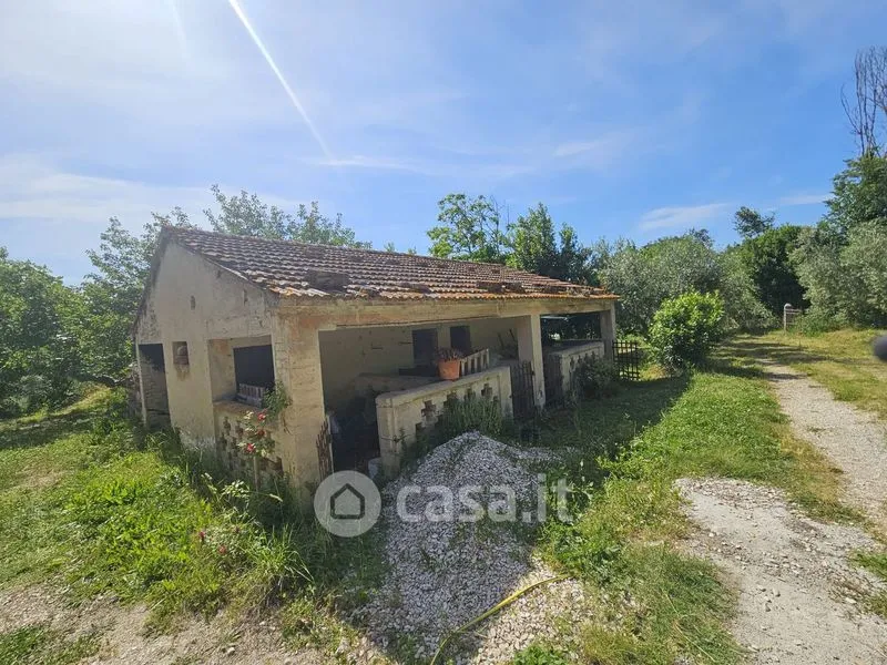 Välivaade - Rustic Casale with Olive Grove in Polverigi