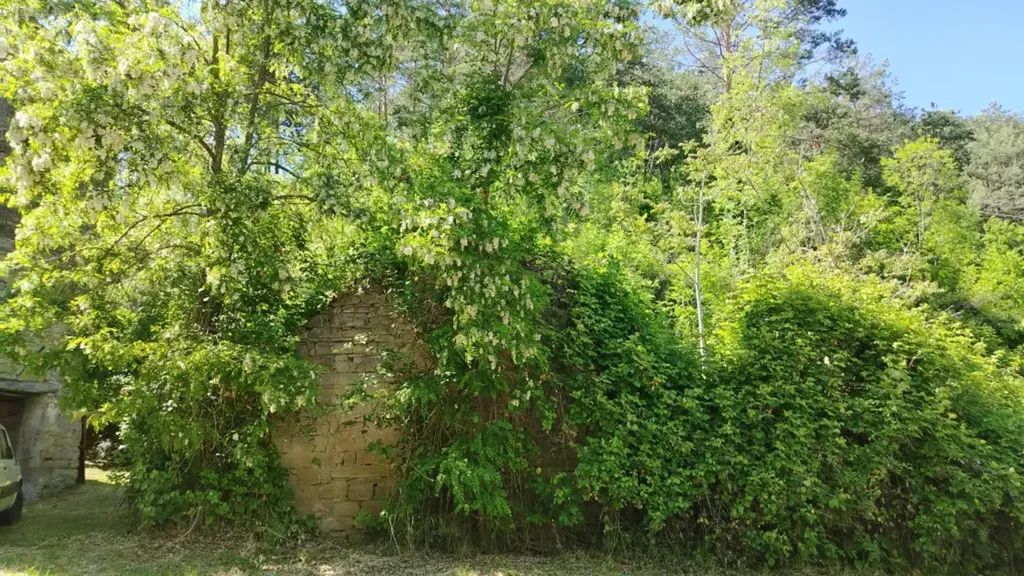 Garden - Rustic Stone Cottage with Forest Access in Galeata