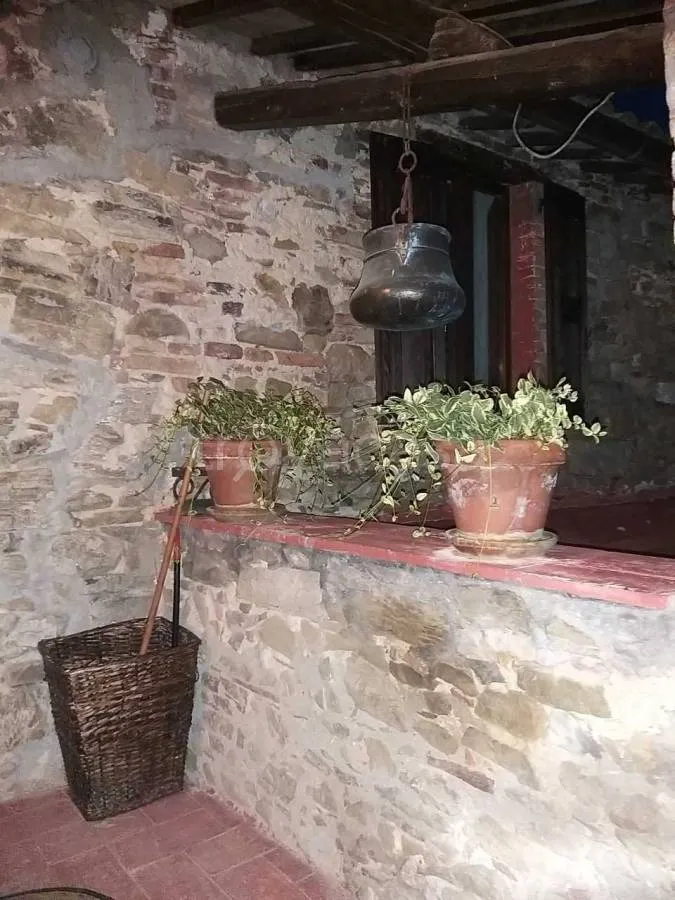 terrace_patio